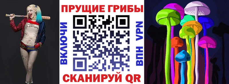 дарк нет состав  Щёлкино  Псилоцибиновые грибы Cubensis 