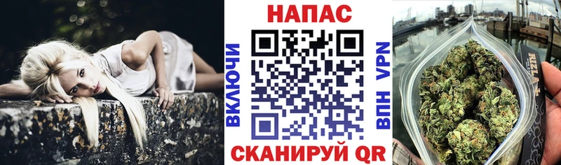 Канабис индика  Щёлкино 